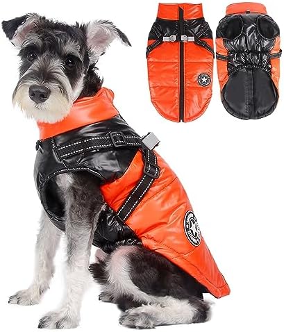 dog jackets for winter