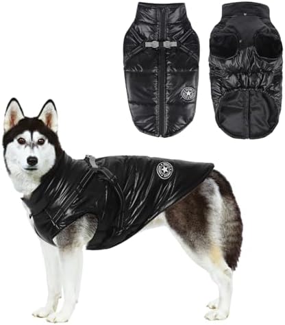 dog jackets for winter