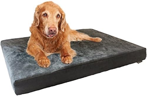 dog beds for large dogs