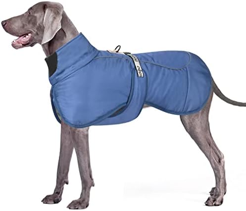 dog jackets for winter