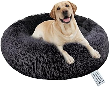 dog beds for large dogs