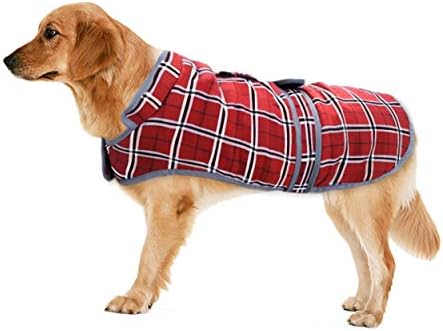 dog jackets for winter