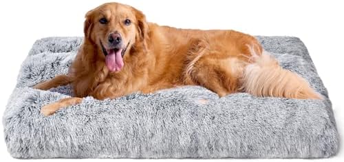 dog beds for large dogs