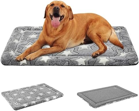 dog beds for large dogs