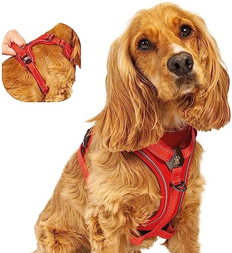 dog harness