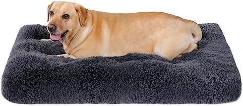 dog beds for large dogs