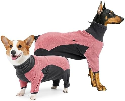 dog jackets for winter