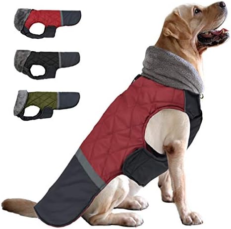 dog jackets for winter