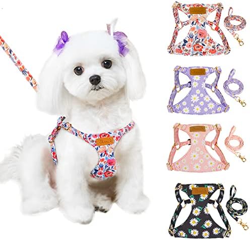 dog harness with handle