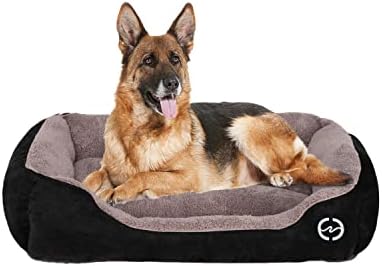 dog beds for large dogs