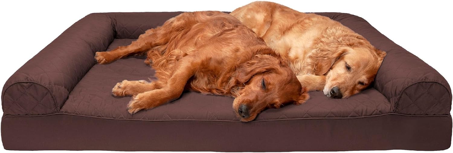 dog beds for large dogs