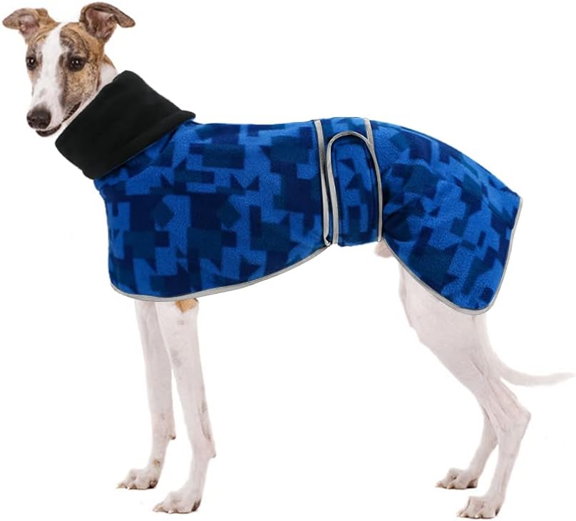 dog jackets for winter