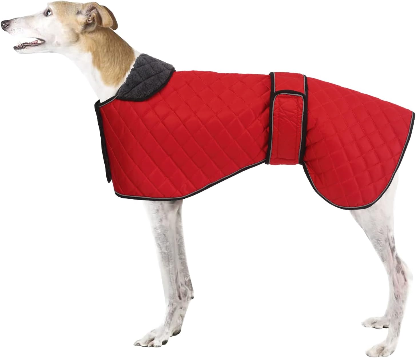 dog jackets for winter