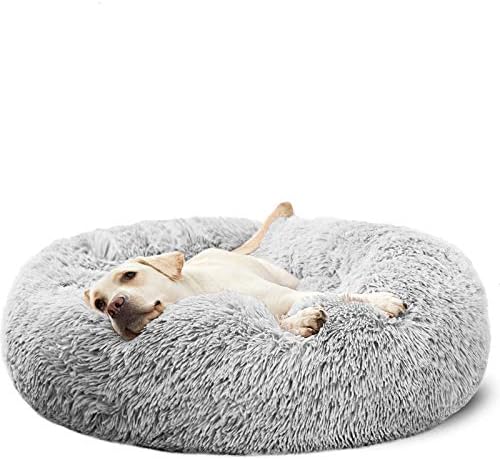 dog beds for large dogs