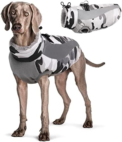 dog jackets for winter