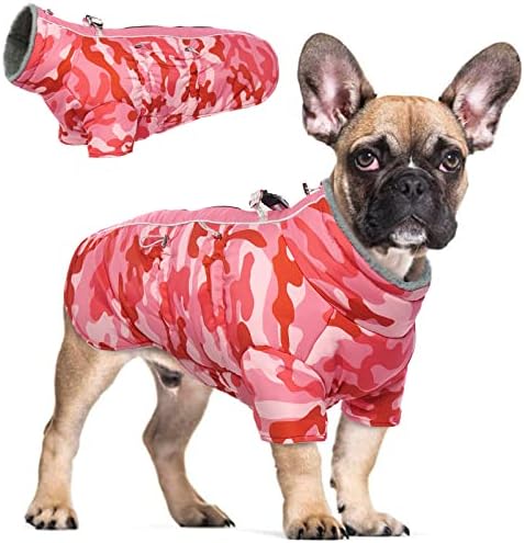 dog jackets for winter