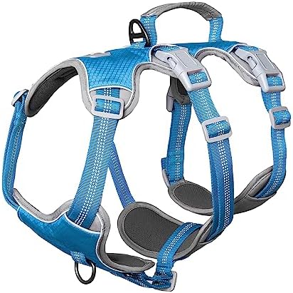 dog harness with handle