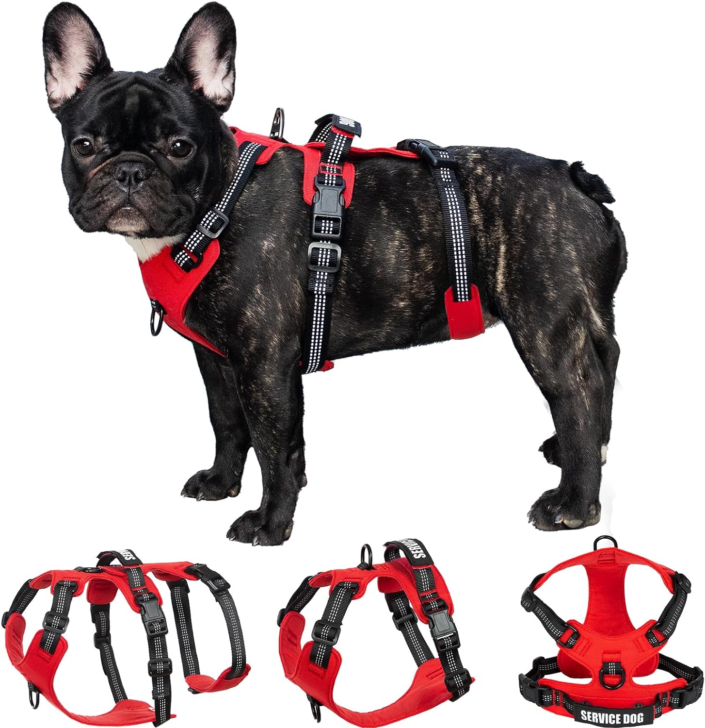 dog harness with handle