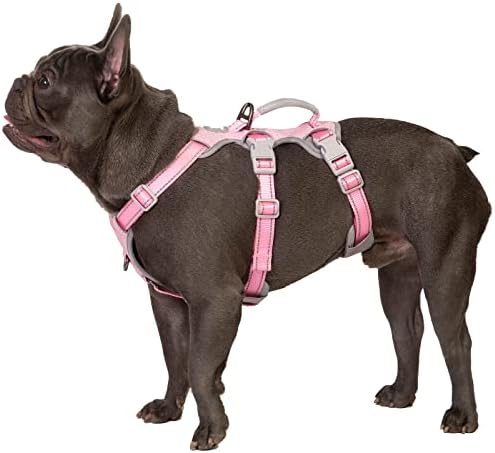 dog harness with handle