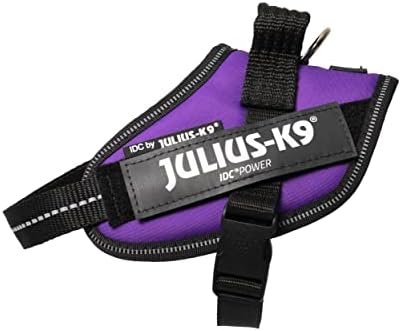 dog harness with handle