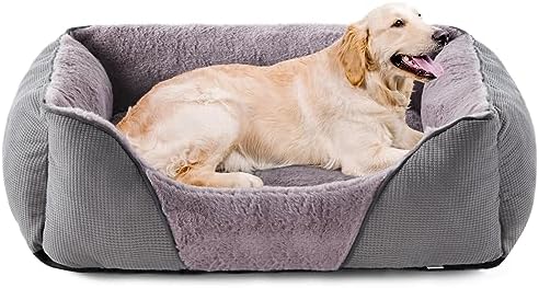 dog beds for large dogs