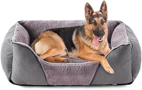 dog beds for large dogs