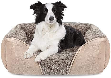 dog beds for large dogs