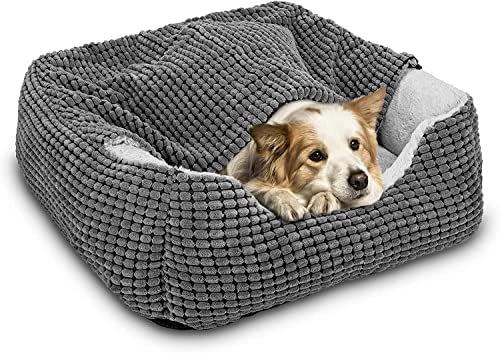 dog beds for large dogs