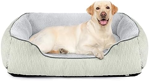 dog beds for large dogs