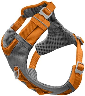 dog harness with handle