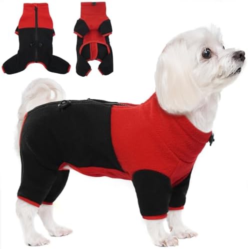 dog jackets for winter