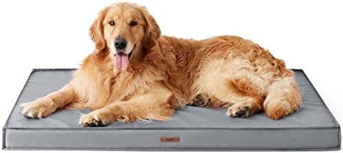 dog beds for large dogs