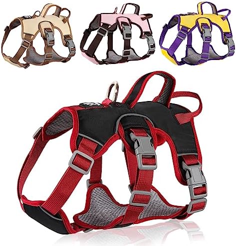 dog harness with handle