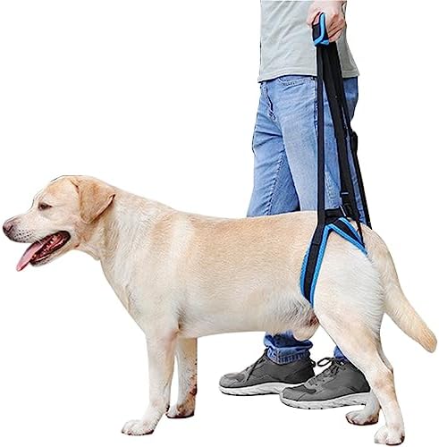 dog harness with handle