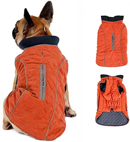 dog jackets for winter