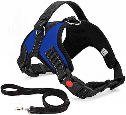 dog harness with handle