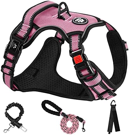 dog harness with handle