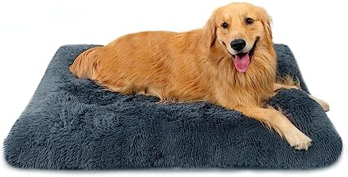 dog beds for large dogs