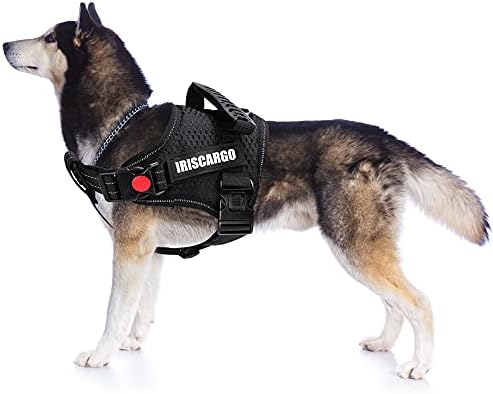 dog harness with handle