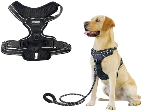 dog harness with handle