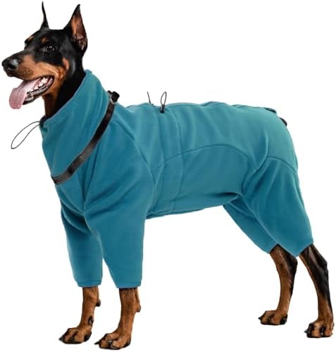 dog jackets for winter