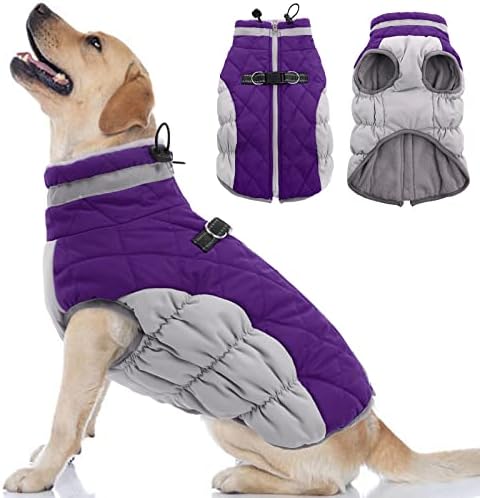 dog jackets for winter