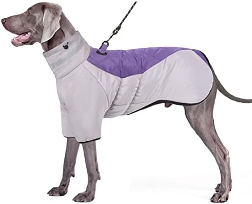 dog jackets for winter