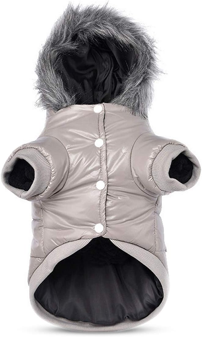 dog jackets for winter