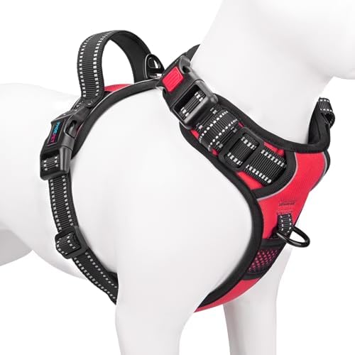 dog harness with handle