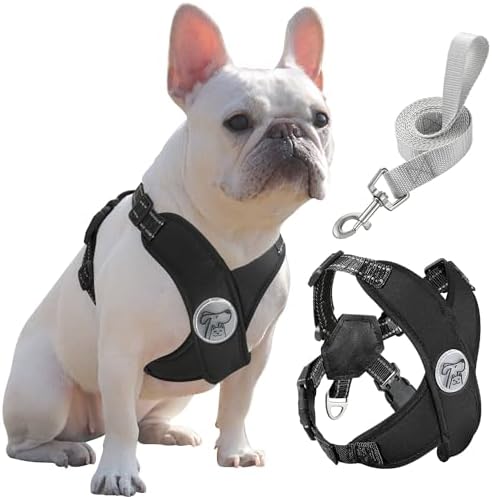 dog harness