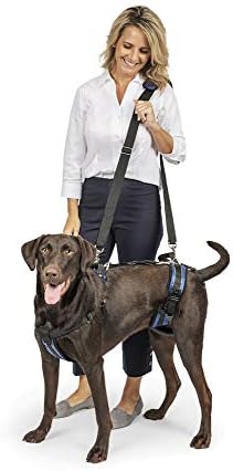 dog harness with handle