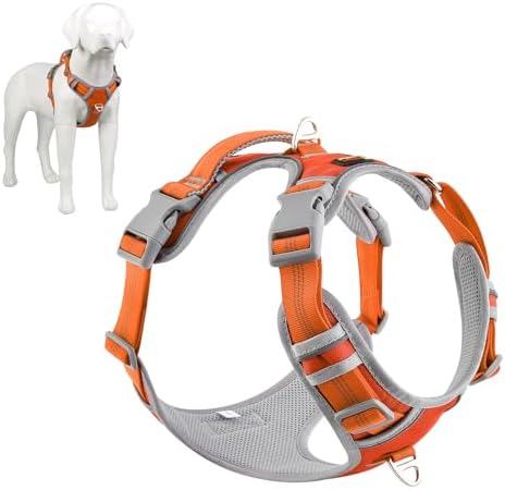 dog harness with handle