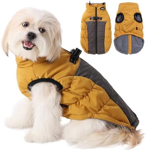 dog jackets for winter