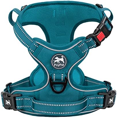 dog harness with handle